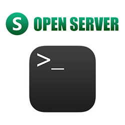 Open Server