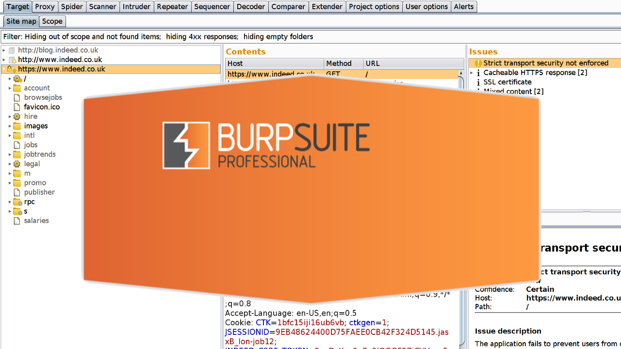 Скачать Burp Suite Professional 2025.8.5 + crack