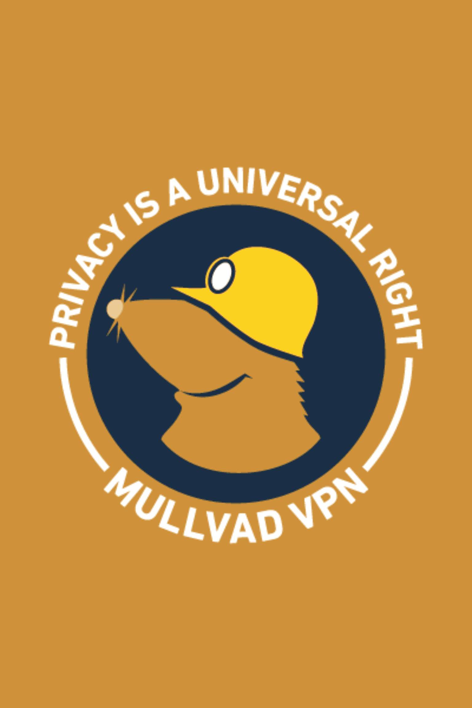 Mullvad VPN CRACK